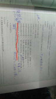 高中網(wǎng)頁(yè)制作實(shí)驗(yàn)二 實(shí)現(xiàn)順序生成1到n數(shù)字的代碼解析