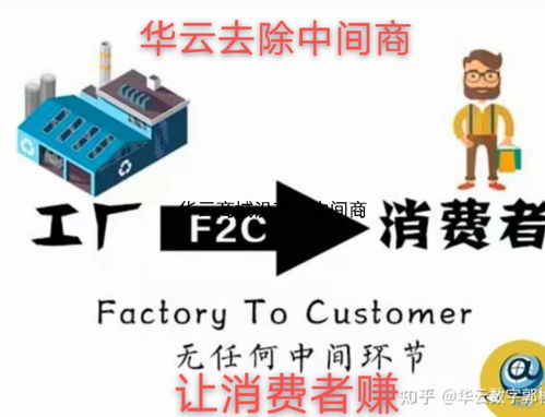 華云數(shù)字 從工廠(chǎng)直達(dá)消費(fèi)者的商業(yè)模式變革